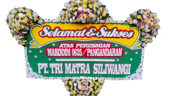 BSS-STD 4T