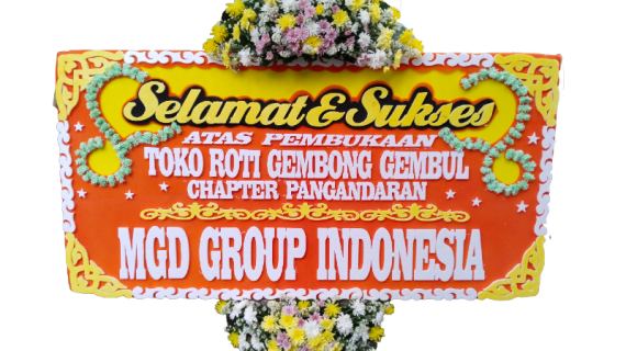 BSS-STD 2T