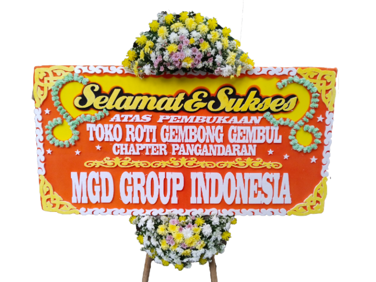 BSS-STD 2T