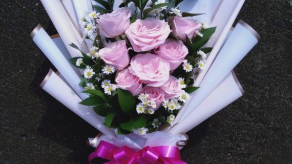 HBQ 004